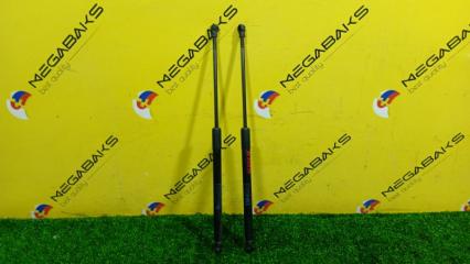 Амортизатор задней двери BMW 1-SERIES F20 N13B16 51247239871 1 ракурс