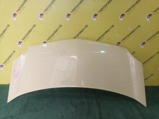 Капот RENAULT KANGOO KW0 K4M831 1 ракурс Капот RENAULT KANGOO KW0 K4M831 1 ракурс