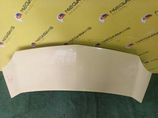 Капот RENAULT KANGOO KW0 K4M831 2 ракурс Капот RENAULT KANGOO KW0 K4M831 2 ракурс