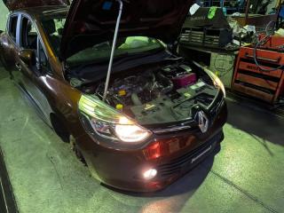 Nose cut RENAULT CLIO BH98 H5F 4 ракурс Nose cut RENAULT CLIO BH98 H5F 4 ракурс