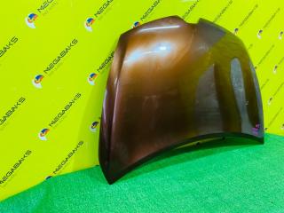 Капот RENAULT CLIO BH98 H5F 651009833R 4 ракурс