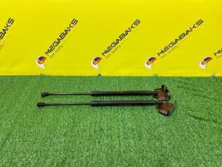 Амортизатор задней двери RENAULT CLIO BH98 H5F 844308661R 1 ракурс