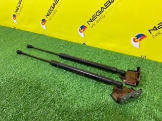Амортизатор задней двери RENAULT CLIO BH98 H5F 844308661R 3 ракурс