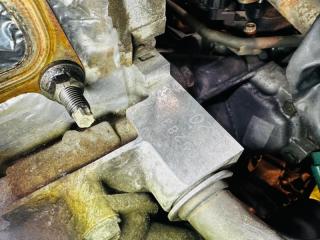 Двигатель NISSAN SERENA TC24 QR20DE 10102CX8AA 1 ракурс