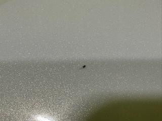Зеркало правое переднее NISSAN FUGA Y51 VQ25HR 963011ME0A 3 ракурс