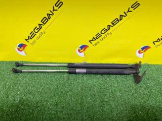 Амортизатор задней двери HONDA EDIX BE4 K20A 04741SJD000 1 ракурс