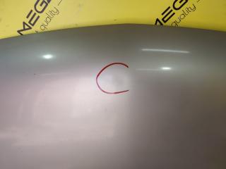 Капот SUZUKI AERIO RB21S M15A 1196254G00 2 ракурс