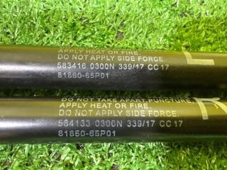 Амортизатор задней двери SUZUKI HUSTLER MR41S 8186065P01 4 ракурс