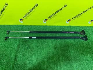 Амортизатор задней двери HONDA MOBILIO SPIKE GK1 L15A 04741SEY000 1 ракурс