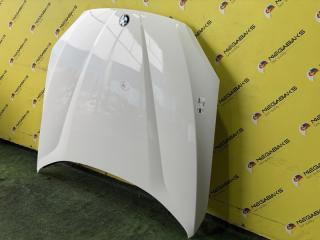 Капот BMW X1 E84 N46B20 41002993151 2 ракурс