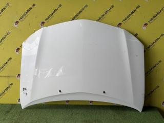 Капот TOYOTA VOLTZ ZZE136 1ZZ-FE 5330101060 1 ракурс