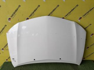 Капот TOYOTA VOLTZ ZZE136 1ZZ-FE 5330101060 3 ракурс