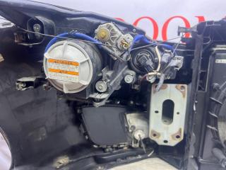Ноускат 6 2009 GH