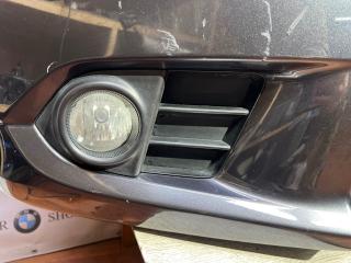 Ноускат Accord 2012 CP