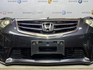 Ноускат Accord 2012 CP