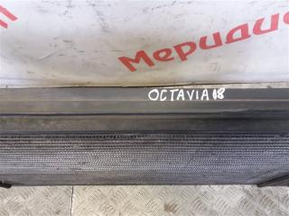 Интеркулер SKODA OCTAVIA A5 2.0 TDI Интеркулер SKODA OCTAVIA A5 2.0 TDI