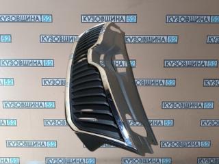 Решетка радиатора Rapid 1 2012-2020 с молдингом
