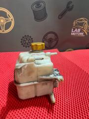 Бачок расширительный Winstorm 2007 C100 Z20S