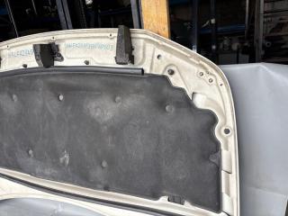 Капот FREELANDER L359 224DT