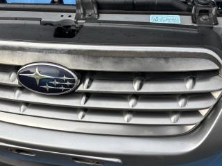 Ноускат OUTBACK BP9 EJ253