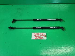 Амортизатор капота NISSAN CIMA GNF50 1 ракурс