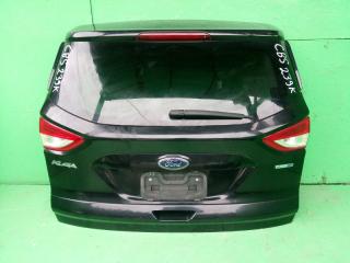 Дверь задняя FORD KUGA CBS 1 ракурс