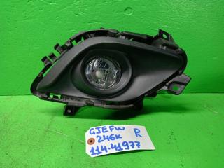 Туманка правая MAZDA ATENZA GJEFW 114-41977 1 ракурс