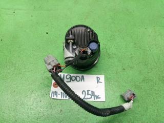 Туманка правая TOYOTA ROOMY M900A 114-11092 2 ракурс