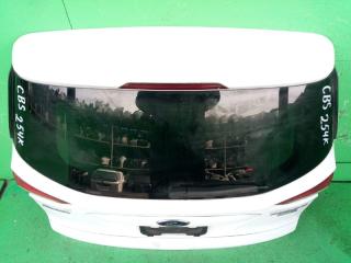 Дверь задняя FORD KUGA CBS 2 ракурс