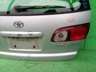 Дверь задняя TOYOTA CALDINA ST215 5 ракурс Дверь задняя TOYOTA CALDINA ST215 5 ракурс
