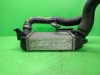 Интеркулер NISSAN JUKE NF15 MR16-DDT SHA1394003 3 ракурс Интеркулер NISSAN JUKE NF15 MR16-DDT SHA1394003 3 ракурс
