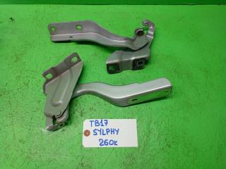 Петля капота NISSAN SYLPHY TB17 1 ракурс