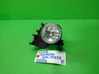 Туманка правая SUBARU IMPREZA GH2 114-77828 1 ракурс