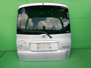 Дверь задняя  TOYOTA FUNCARGO NCP25 1 ракурс