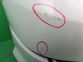Ноускат HONDA ELYSION RR1 5 ракурс