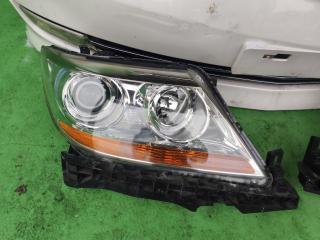 Ноускат HONDA ELYSION RR1 2 ракурс