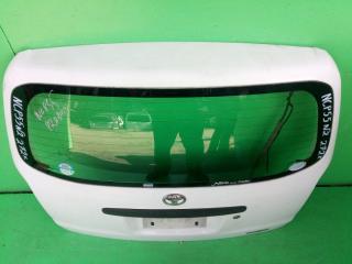 Дверь задняя TOYOTA PROBOX NCP55 2 ракурс
