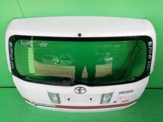 Дверь задняя TOYOTA SUCCEED NCP55 2 ракурс