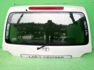 Дверь задняя TOYOTA LAND CRUISER HDJ101 1 ракурс