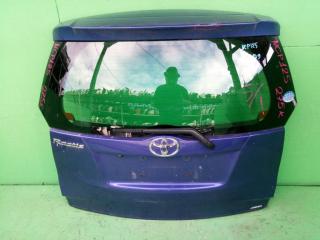 Дверь задняя TOYOTA RACTIS NCP125 1 ракурс Дверь задняя TOYOTA RACTIS NCP125 1 ракурс