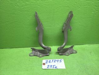 Петля капота TOYOTA PREMIO ZZT245 1 ракурс