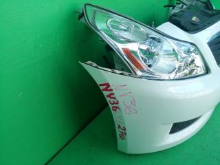 Ноускат NISSAN SKYLINE NV36 3 ракурс