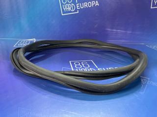 Фото запчасти уплотнительная резинка задняя левая Volkswagen Tiguan 2010 Б/У запчасть Запчасть уплотнительная резинка задняя левая Volkswagen Tiguan 2010