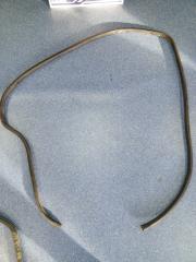 Запчасть уплотнитель проема двери передний левый Subaru Forester