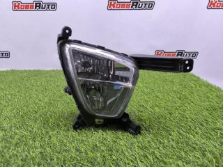 ПТФ передний правый Kia Sorento Prime