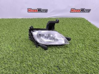 ПТФ передний левый Kia Cerato 2013-2016