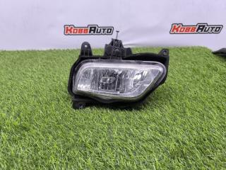 ПТФ передний левый Hyundai Porter 2012