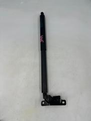 Амортизатор крышки багажника BMW X5 2010