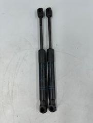 Амортизатор капота BMW 3 2013