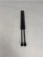 Амортизатор крышки багажника BMW 3 2010